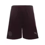 Manchester City 2024/25 yilgi uchinchi futbol formasi - Image 5